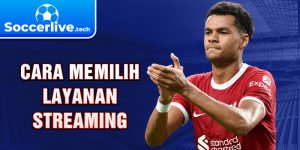 Cara Memilih Layanan Streaming